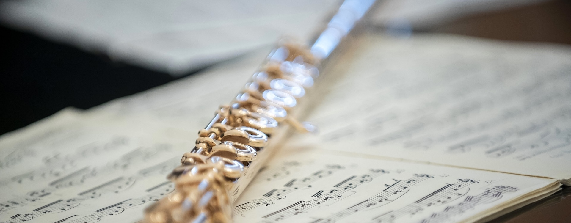 Masterclass – Barthold Kuijken