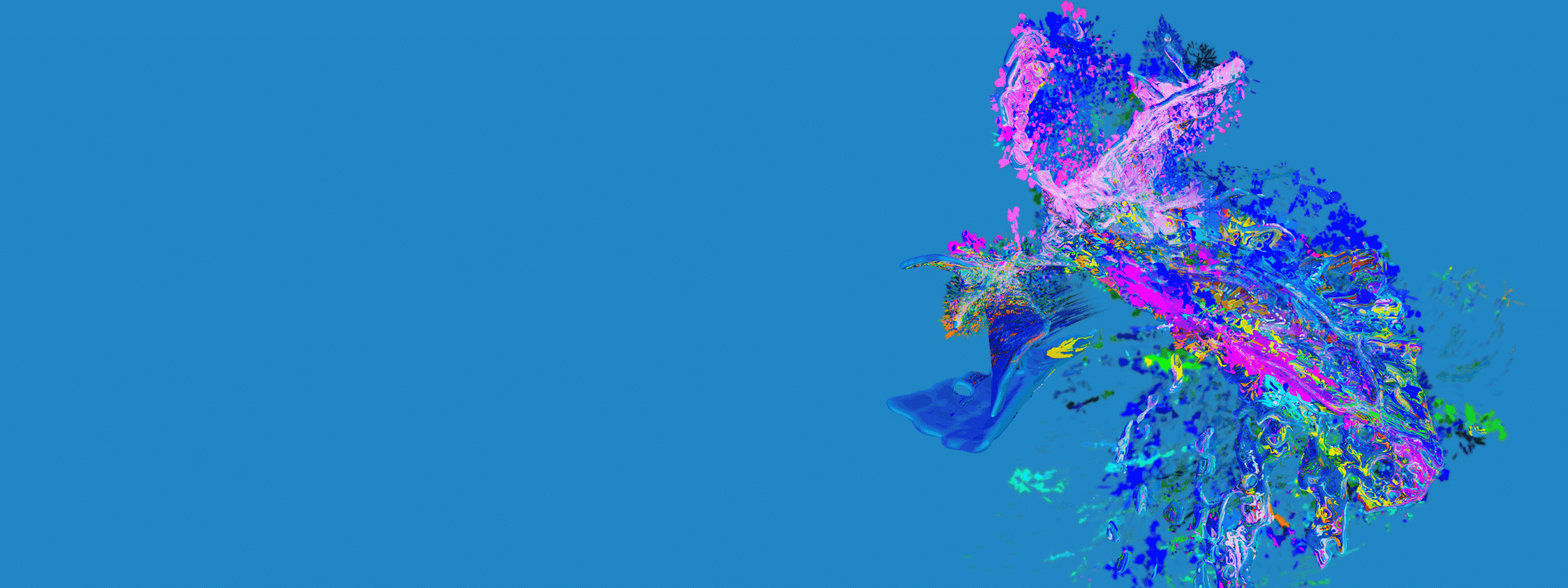 Banner Image