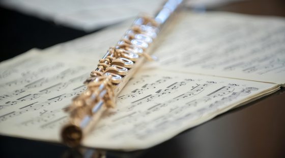 46914993465_54a43cdc79_k